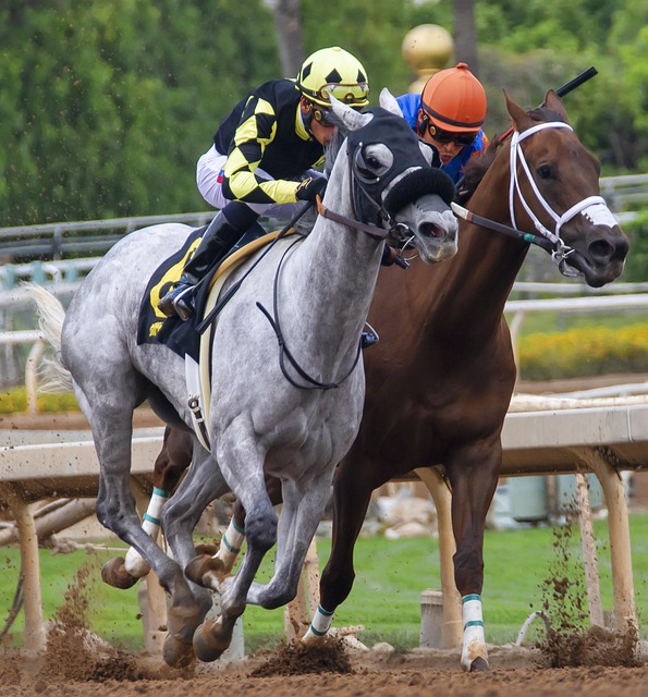 为这个号码 为这个号码