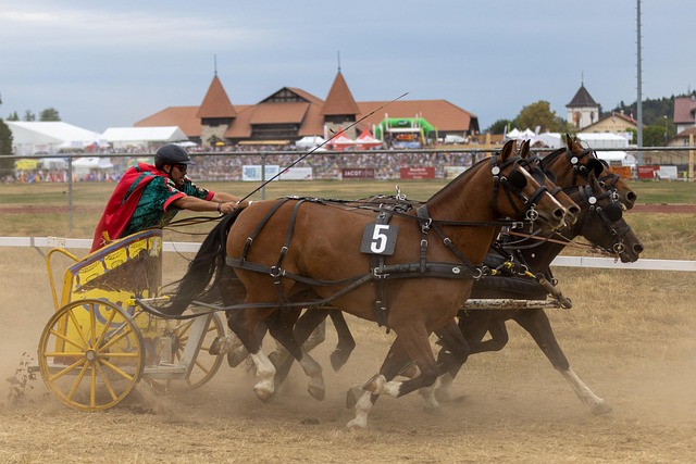 皇马缺席今 皇马缺席今